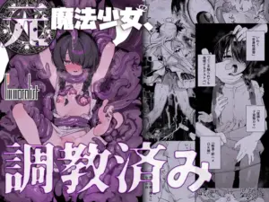 元魔法少女、調教済み(I'm moralist)